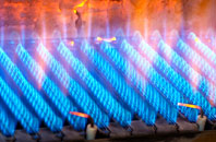 Dalmeny gas fired boilers
